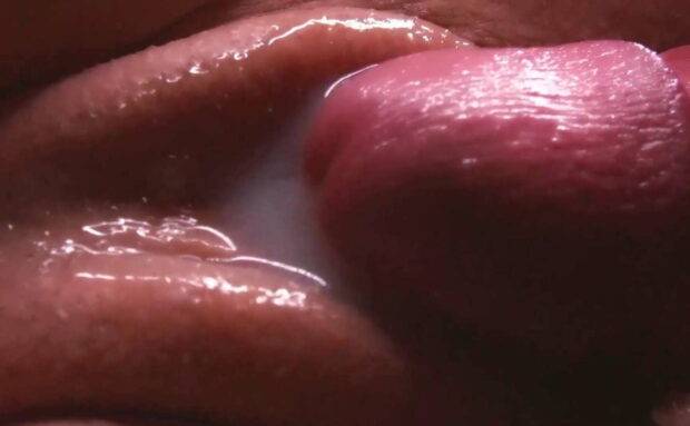 Cumshot Compilation Close Up Uncensored